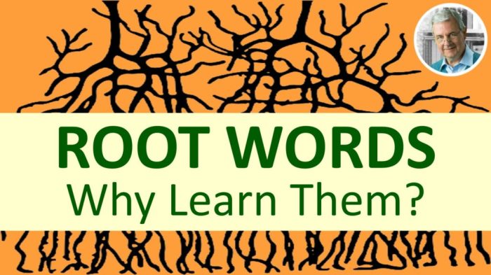 Root prefix suffix prefixes suffixes havefunteaching affix vocabulary determine 99worksheets