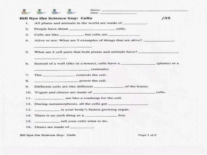 Bill nye energy worksheet answers