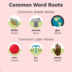 Words with the root word phon