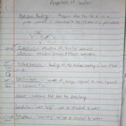 Csi herbicide worksheet answers key