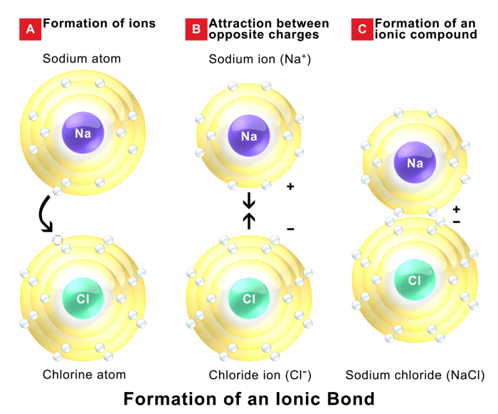 Choose the compound with the most ionic bond