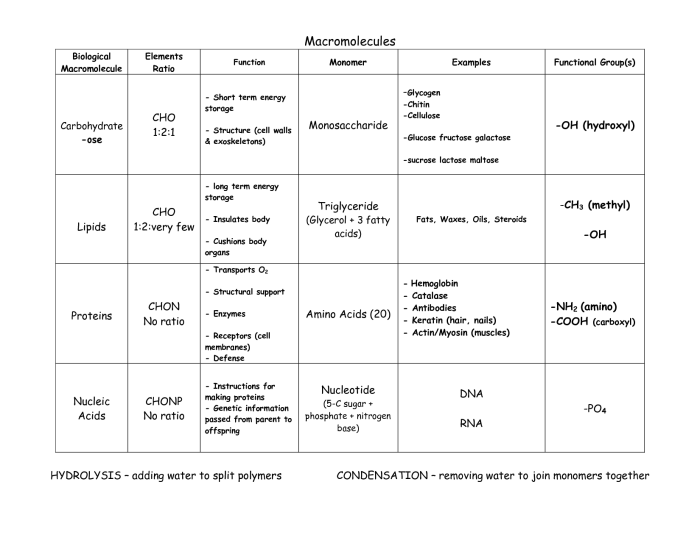 Macromolecule worksheet answer key pdf