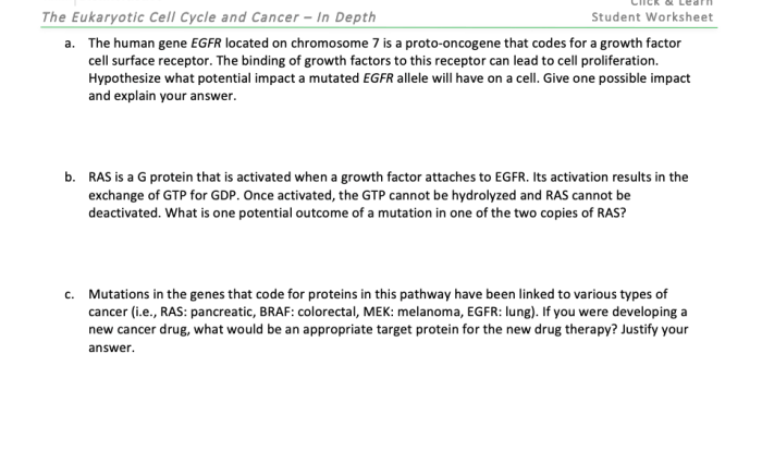 Hhmi biointeractive eukaryotic cell cycle and cancer