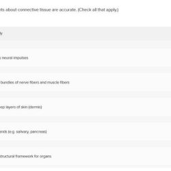 Identify which statements about connective tissue are accurate