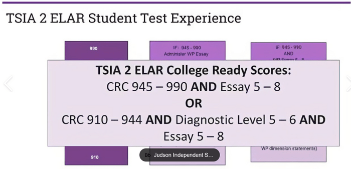 Tsia2 english language arts and reading diagnostic answer key