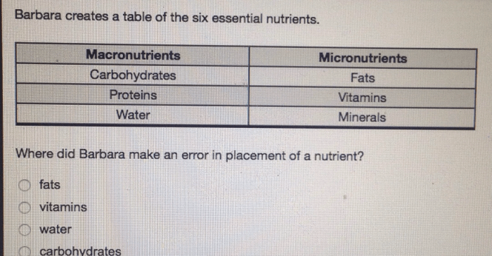 Barbara creates a table of the six essential nutrients.