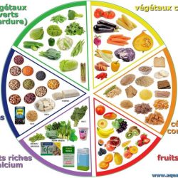 Nutrients essential six worksheet