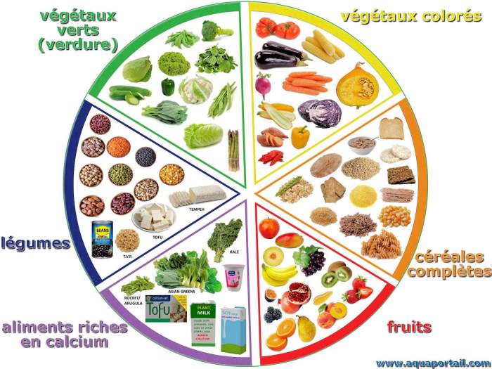 Nutrients essential six worksheet